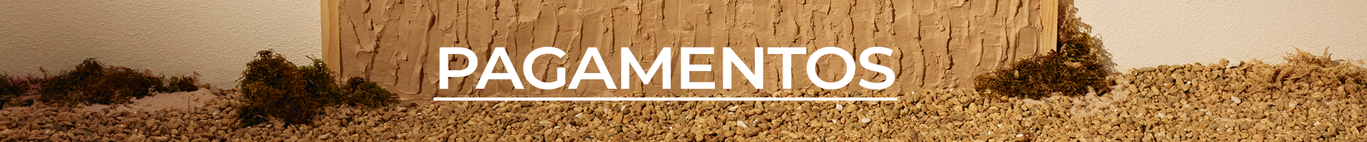 PAGAMENTOS DESKTOP