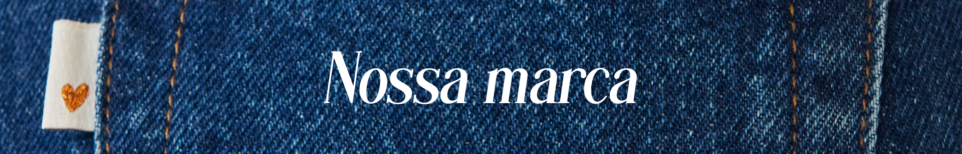 Banner Institucional